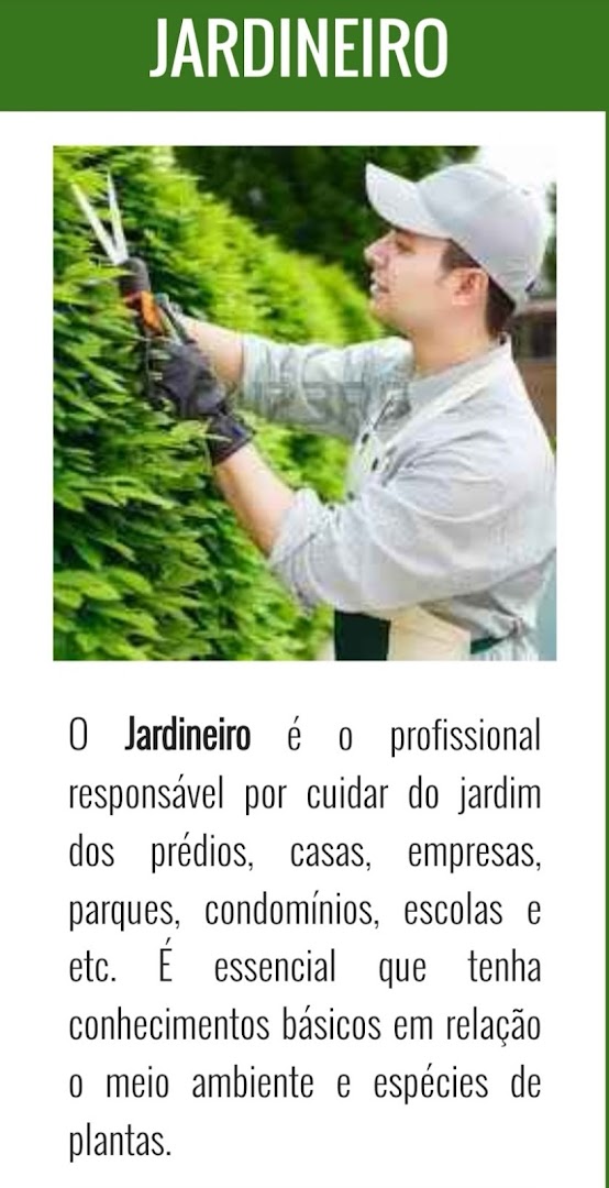 Seu Peixoto faz tudo — Fotos 13